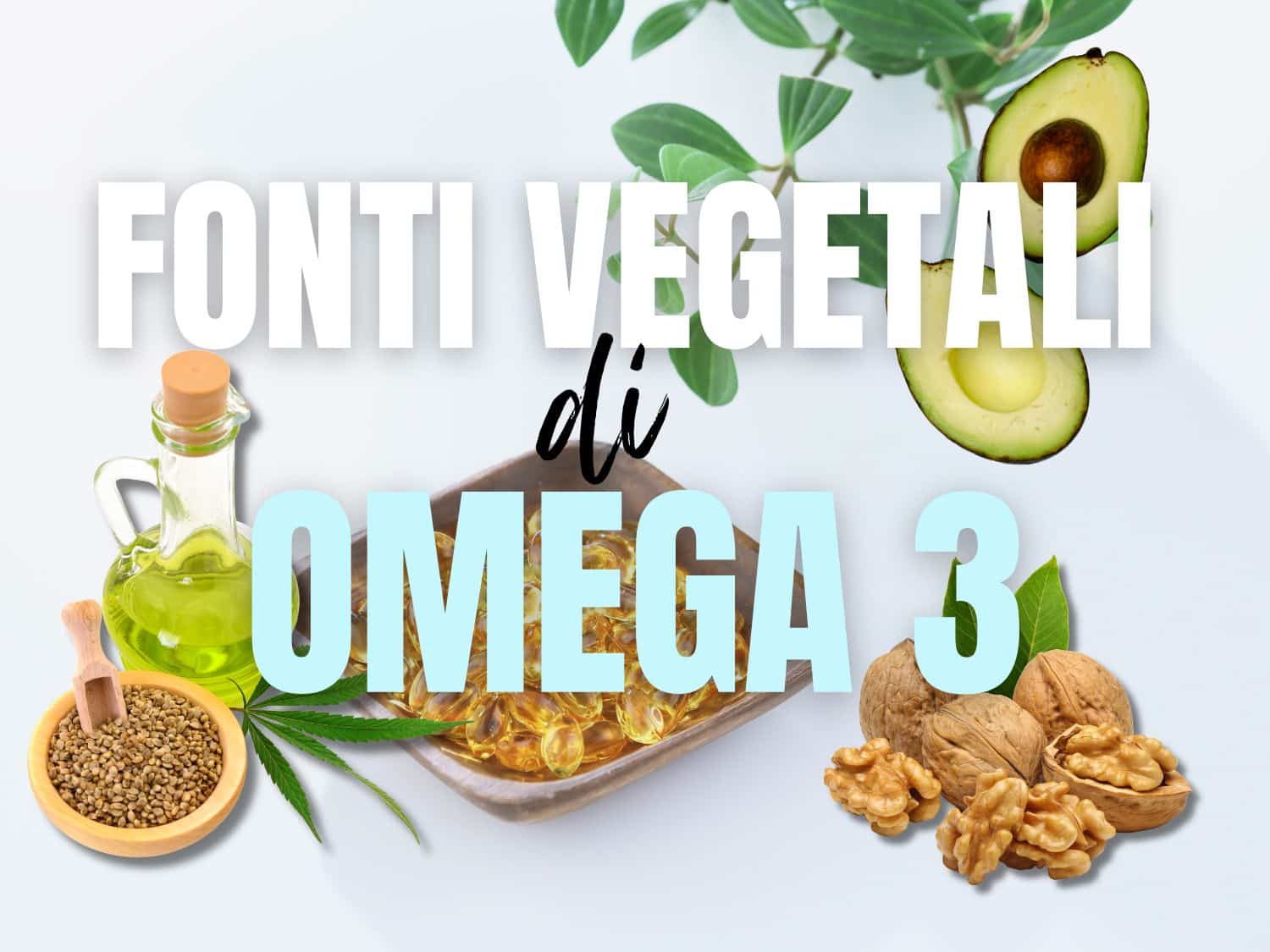 Fonti vegetali di omega 3
